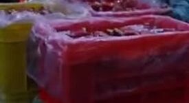 ویدیو: نمای نزدیک روز دوم موکب گروه فولاد مبارکه
