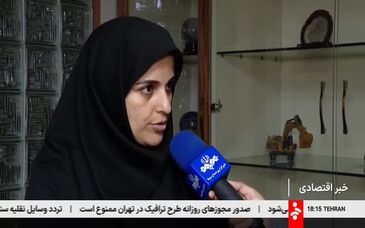 سمیه خلوصی: هوشمندسازی معادن کلید خورد