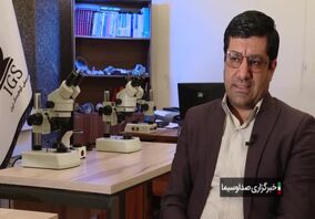 ویدیو: آمادگی ایران برای همکاری با روسیه در استخراج و فرآوری طلا

