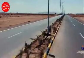 ویدئو/ فرشاد: وزارت صمت با اتخاذ راهکارهای سازنده فرصت از دست رفته صادراتی را جبران کند