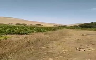 ویدئو: ادامه انفجار حاشیه‌ساز معادن در زنجان و اظهارنظر قابل تأمل مدیرکل صمت استان
