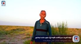 ویدیو: همه با هم برای دشت نیشابور /ایجاد ۷۰ هکتار خط سبز تاغ‌زار در جنوب غربی دشت نیشابور به همت همشهریان