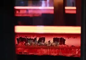 ویدئو: سومین کنفرانس بین المللی فولادسازی و ریخته گری مداوم