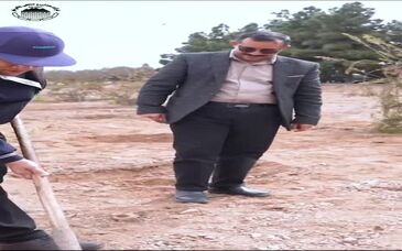 ویدیو :کاشت ۳۰ اصله نهال زیتون به مناسبت روز درختکاری در مجتمع صنعتی چادرملو